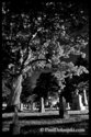 St Johns Cemetery At Night