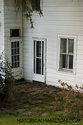 Both Back Doors