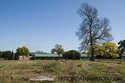 The Barn Foundation And Old Ash Tree