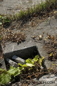Cut Hole In The Foundation