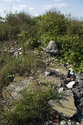 Old Concrete Foundation
