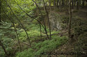 View Felker Quarry