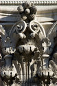 Pigeons Needles Protecting Top Of Column