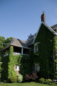 Side Walls Covered In Ivy