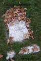 Allan Renton Tombstone In Carluke Ontario