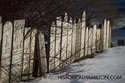 Distant Row Of Headstones