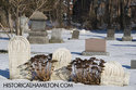The Van Sickle Graves