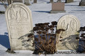 Van Sickle Graves